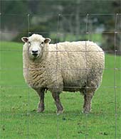 Cerramientos Ganaderos Sercomalla Cerramientos Ganaderos Sercomalla